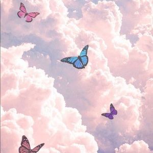 Meet your Posher, Ana